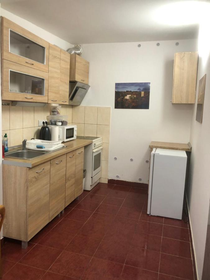 Penzion Duong Apartments Karlovy Vary Bagian luar foto