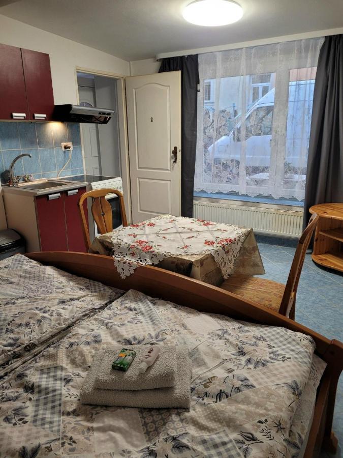 Penzion Duong Apartments Karlovy Vary Bagian luar foto